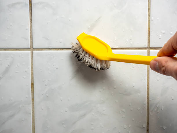 Best Mold Damage Repair  in Sandoval, IL