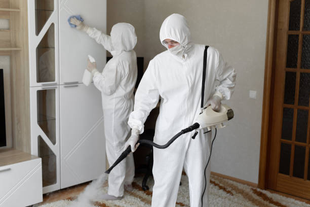 Best Mold Testing  in Sandoval, IL