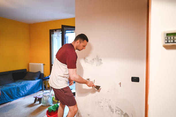 Best Fast Mold Removal  in Sandoval, IL
