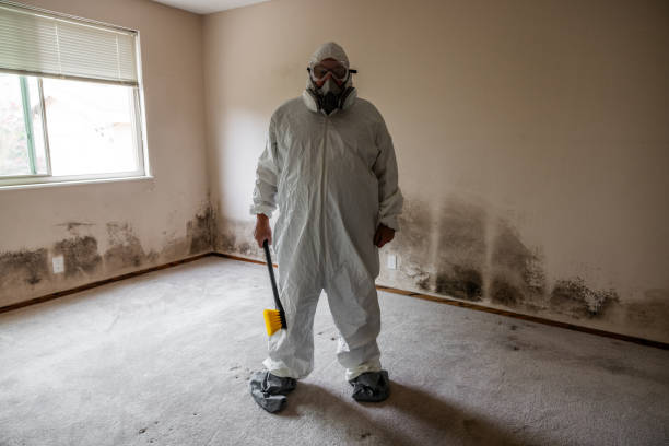 Sandoval, IL Mold Removal Company