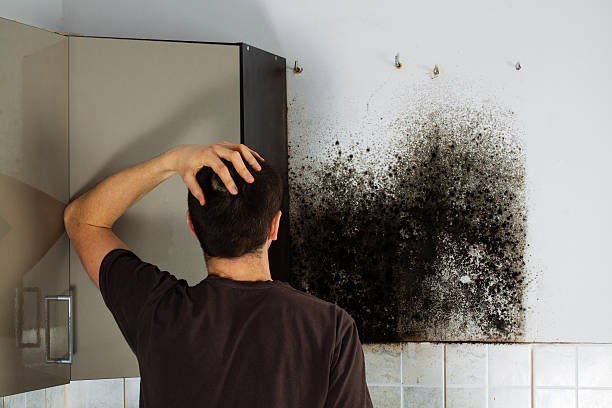 Best Residential Mold Removal  in Sandoval, IL